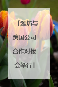 潍坊与跨国公司合作对接会举行